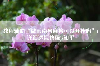 教程辅助“微乐南昌麻将可以开挂吗	”(详细透视教程)-知乎