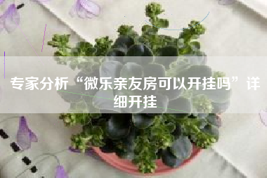 专家分析“微乐亲友房可以开挂吗”详细开挂