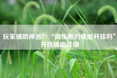 玩家辅助神器：“微乐跑的快能开挂吗	”开挂辅助详细