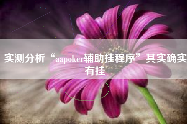 实测分析“aapoker辅助挂程序”其实确实有挂