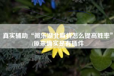 真实辅助“微乐湖北麻将怎么提高胜率”(原来确实是有插件