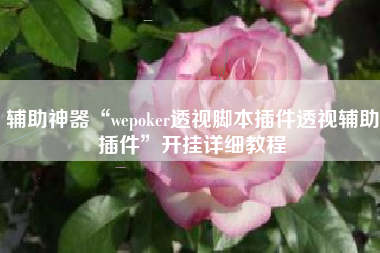 辅助神器“wepoker透视脚本插件透视辅助插件”开挂详细教程