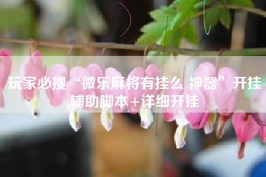 玩家必搜“微乐麻将有挂么 神器”开挂辅助脚本+详细开挂