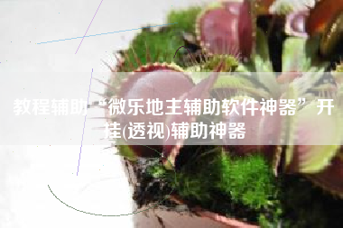 教程辅助“微乐地主辅助软件神器”开挂(透视)辅助神器