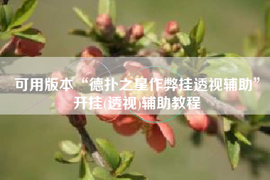可用版本“德扑之星作弊挂透视辅助”开挂(透视)辅助教程