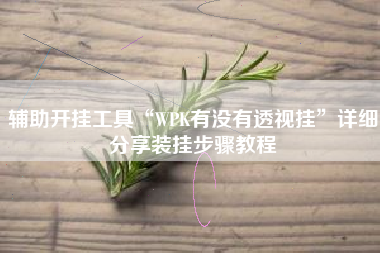 辅助开挂工具“WPK有没有透视挂”详细分享装挂步骤教程