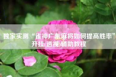 独家实测“雀神广东麻将如何提高胜率”开挂(透视)辅助教程