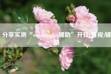 分享实测“wepokerplus辅助”开挂(透视)辅助