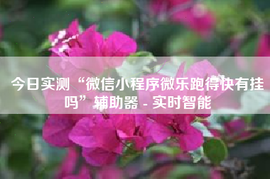 今日实测“微信小程序微乐跑得快有挂吗”辅助器 - 实时智能