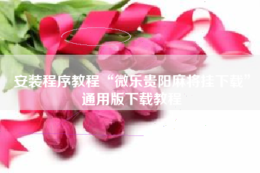 安装程序教程“微乐贵阳麻将挂下载”通用版下载教程