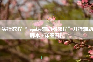 实操教程“wepoker辅助器教程”开挂辅助脚本+详细开挂