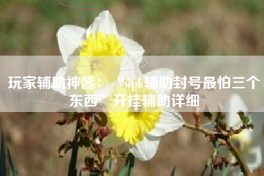 玩家辅助神器：“wpk辅助封号最怕三个东西”开挂辅助详细