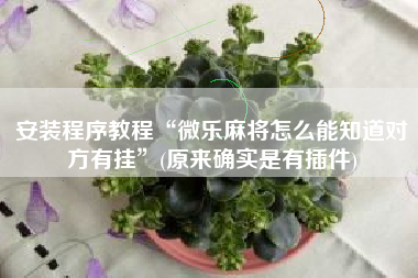 安装程序教程“微乐麻将怎么能知道对方有挂	”(原来确实是有插件)