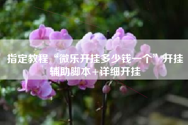 指定教程“微乐开挂多少钱一个”开挂辅助脚本+详细开挂