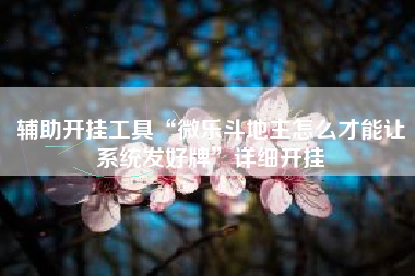 辅助开挂工具“微乐斗地主怎么才能让系统发好牌	”详细开挂