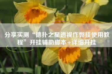 分享实测“德扑之星透视作弊挂使用教程”开挂辅助脚本+详细开挂