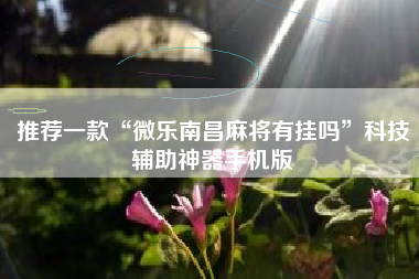 推荐一款“微乐南昌麻将有挂吗”科技辅助神器手机版