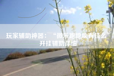 玩家辅助神器：“微乐跑地块有挂么	”开挂辅助详细
