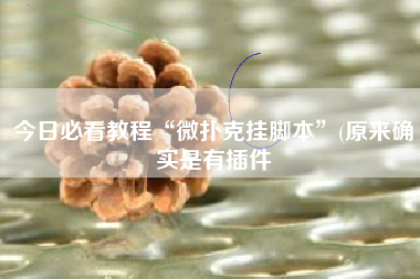 今日必看教程“微扑克挂脚本”(原来确实是有插件