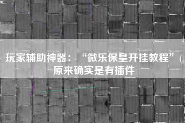 玩家辅助神器：“微乐保皇开挂教程	”(原来确实是有插件