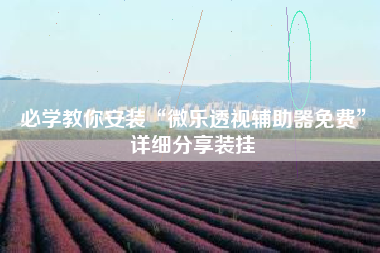 必学教你安装“微乐透视辅助器免费”详细分享装挂