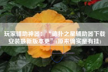 玩家辅助神器：“德扑之星辅助器下载安装最新版本更”(原来确实是有挂)