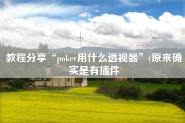 教程分享“poker用什么透视器”(原来确实是有插件