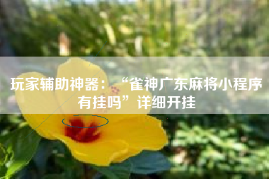 玩家辅助神器：“雀神广东麻将小程序有挂吗”详细开挂