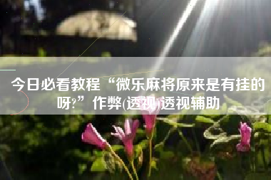 今日必看教程“微乐麻将原来是有挂的呀?”作弊(透视)透视辅助