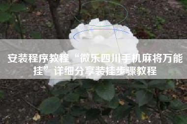 安装程序教程“微乐四川手机麻将万能挂”详细分享装挂步骤教程