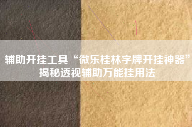 辅助开挂工具“微乐桂林字牌开挂神器”揭秘透视辅助万能挂用法