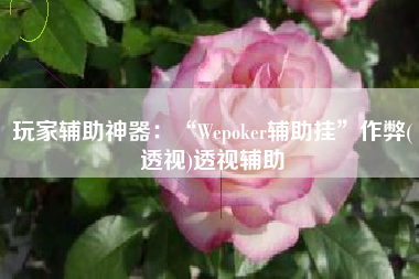 玩家辅助神器：“Wepoker辅助挂”作弊(透视)透视辅助
