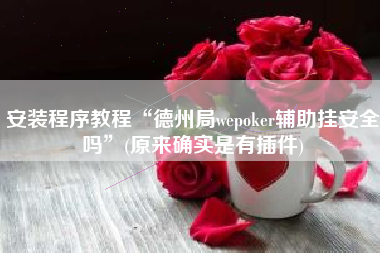 安装程序教程“德州局wepoker辅助挂安全吗	”(原来确实是有插件)