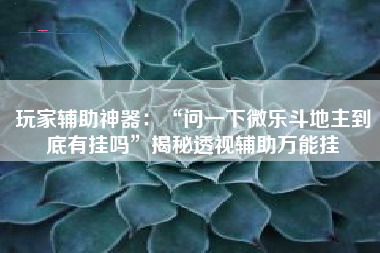 玩家辅助神器：“问一下微乐斗地主到底有挂吗”揭秘透视辅助万能挂