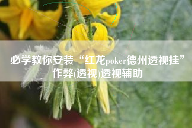 必学教你安装“红龙poker德州透视挂”作弊(透视)透视辅助