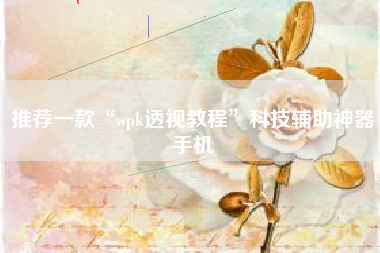 推荐一款“wpk透视教程”科技辅助神器手机