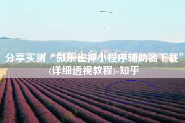 分享实测“微乐雀神小程序辅助器下载	”(详细透视教程)-知乎