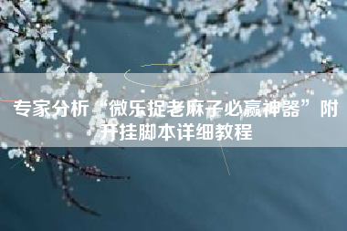 专家分析“微乐捉老麻子必赢神器”附开挂脚本详细教程