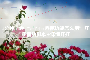 3分钟学会“WePoker透视功能怎么用”开挂辅助脚本+详细开挂