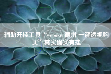 辅助开挂工具“wepoker德州 一键透视购买”其实确实有挂