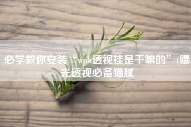 必学教你安装“wpk透视挂是干嘛的”(曝光透视必备猫腻