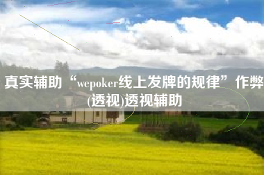 真实辅助“wepoker线上发牌的规律	”作弊(透视)透视辅助