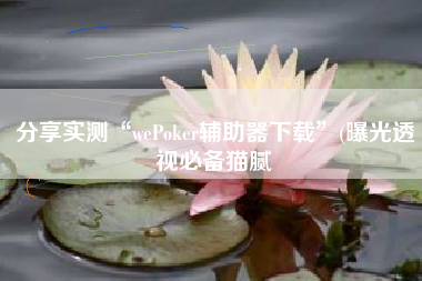 分享实测“wePoker辅助器下载”(曝光透视必备猫腻