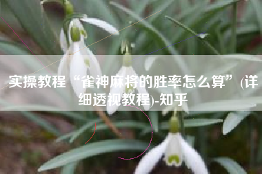 实操教程“雀神麻将的胜率怎么算	”(详细透视教程)-知乎