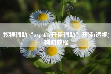 教程辅助“wepoker开挂辅助	”开挂(透视)辅助教程