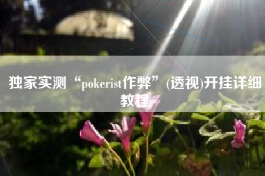 独家实测“pokerist作弊”(透视)开挂详细教程