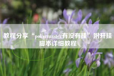 教程分享“pokermaster有没有挂	”附开挂脚本详细教程