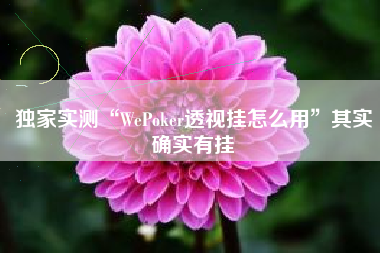 独家实测“WePoker透视挂怎么用”其实确实有挂