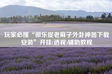 玩家必搜“微乐捉老麻子外卦神器下载安装”开挂(透视)辅助教程