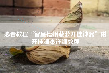 必看教程“智星德州菠萝开挂神器”附开挂脚本详细教程